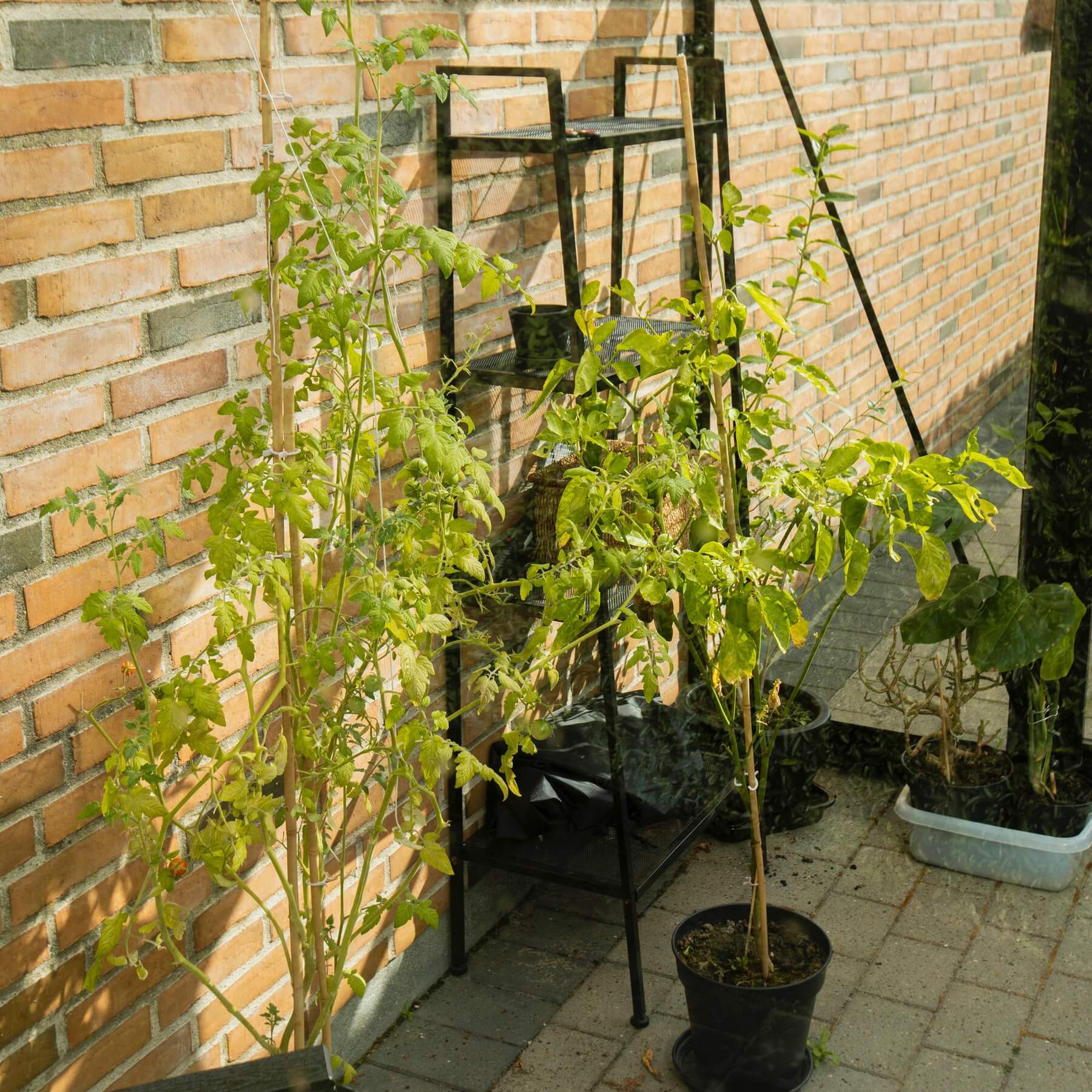 Produktbillede 6